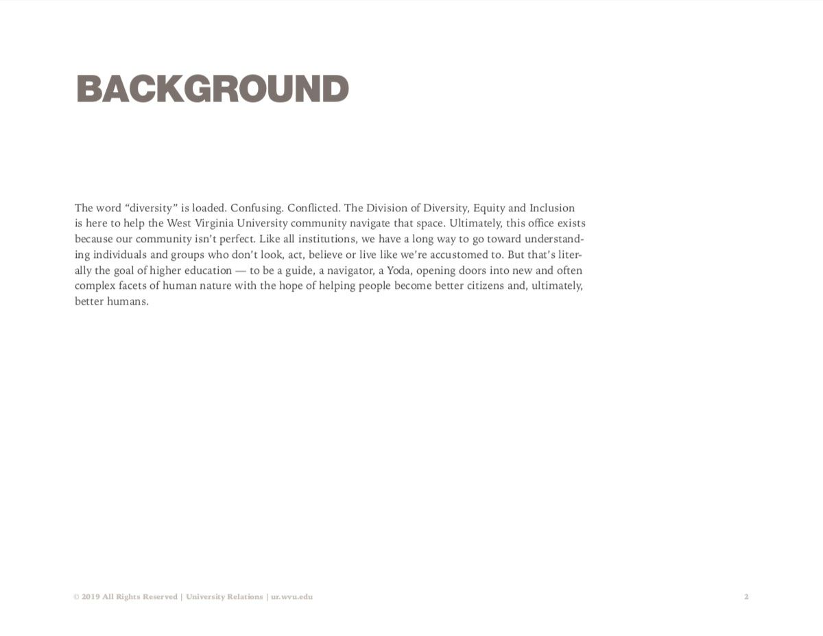 Screenshot of Diversity creative campaign explaining the background of the problem.