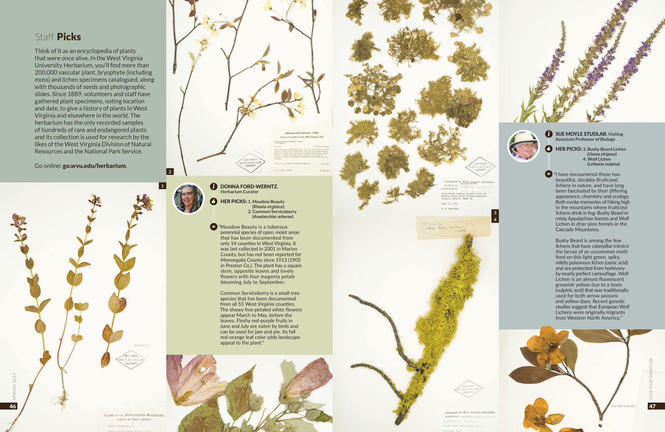 Herbarium spread