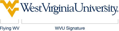 Flying WV + WVU Signature breakdown
