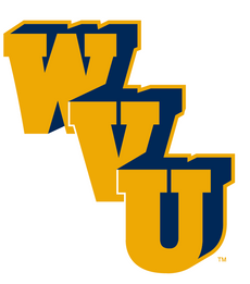 Diagonala WVU in gold and navy